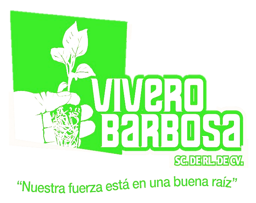 Viveros Barbosa